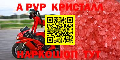 гашиш Кингисепп
