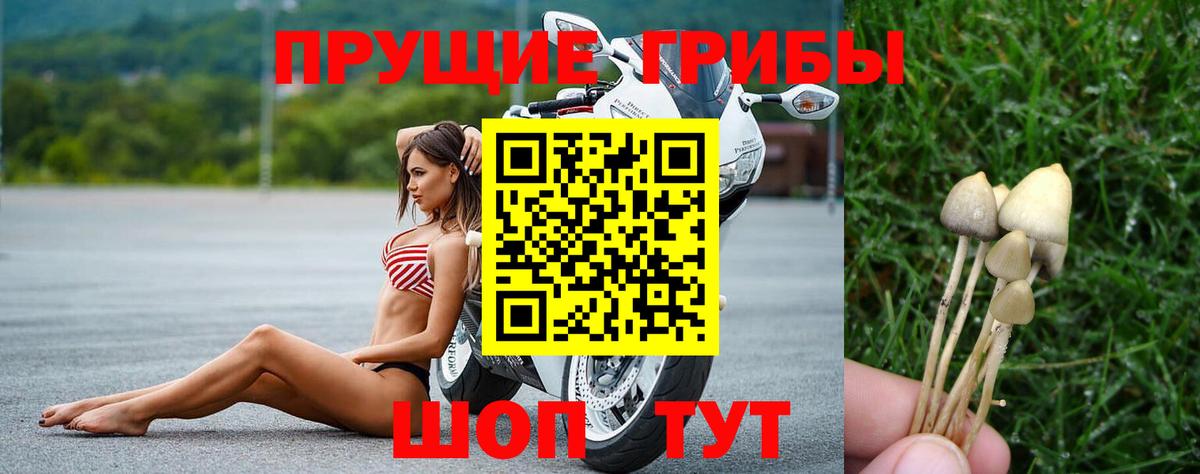 Красноуфимск  Галлюциногенные грибы прущие грибы  Вход с VPN 