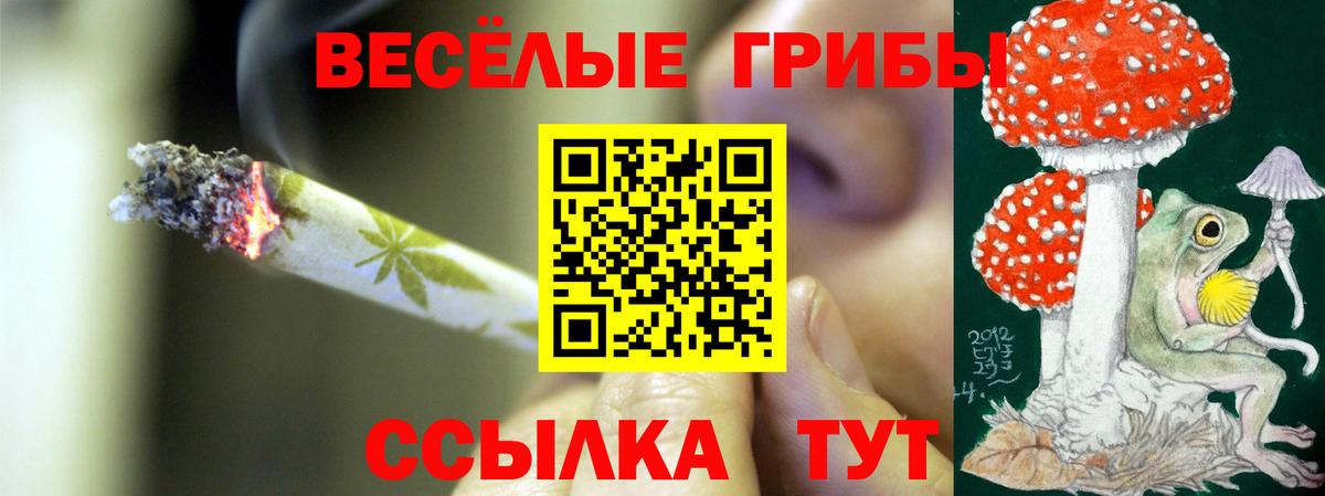Псилоцибиновые грибы MAGIC MUSHROOMS Красноуфимск